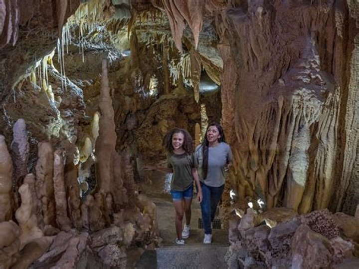Discover Nature's Hidden Wonders: Amanda Makar's Immersive Art